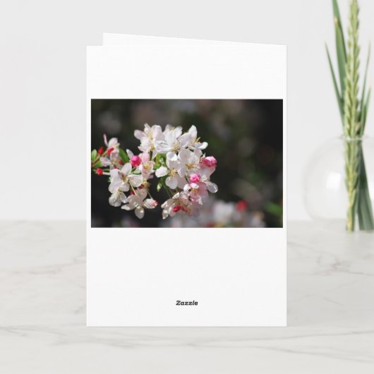 Kirsche blüht glücklich Geburtstag Karte (Rückseite)