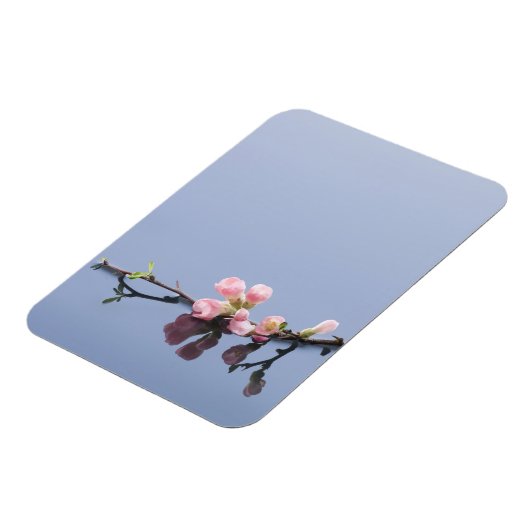 Kirsche blüht im Wasser Magnet (Linke Seite)