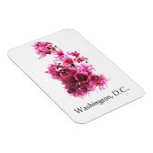 Kirsche blüht in Washington, D.C. Magnet (Rechte Seite)