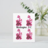 Kirsche blüht in Washington, D.C. Postkarte (Stehend Vorderseite)