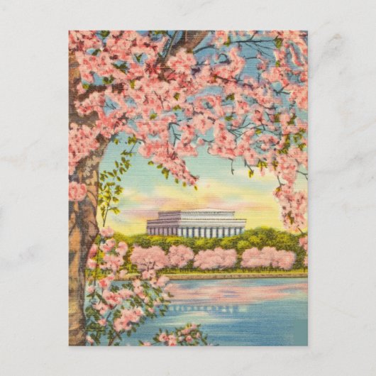 Kirsche blüht in Washington D.C. Postkarte (Vorderseite)