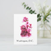 Kirsche blüht in Washington, D.C. Postkarte (Stehend Vorderseite)