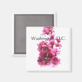 Kirsche blüht. Washington, D.C. Magnet (Vorderseite/Rückseite)