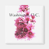 Kirsche blüht. Washington, D.C. Magnet (Vorne)