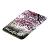 Kirsche blüht. Washington, D.C. Magnet (Linke Seite)