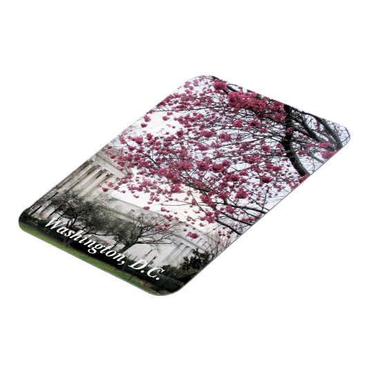 Kirsche blüht. Washington, D.C. Magnet (Linke Seite)