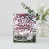 Kirsche blüht. Washington, D.C. Postkarte (Stehend Vorderseite)
