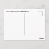 Kirsche blüht. Washington, D.C. Postkarte (Rückseite)