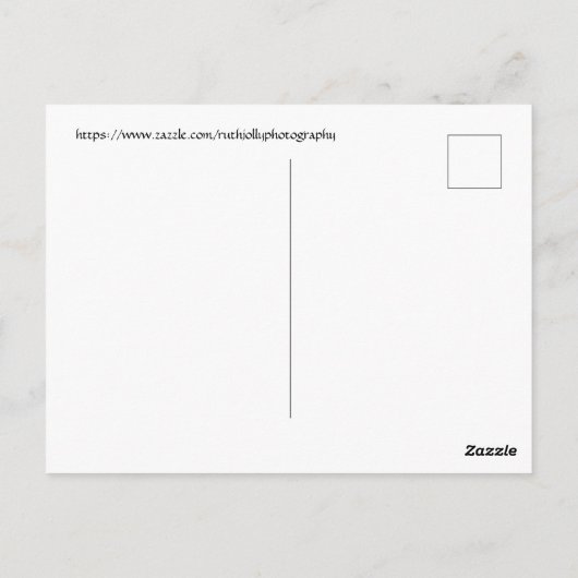 Kirsche blüht. Washington, D.C. Postkarte (Rückseite)