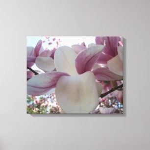 Kirsche Blüten Rosa und Weiße Fotokunst Leinwanddruck