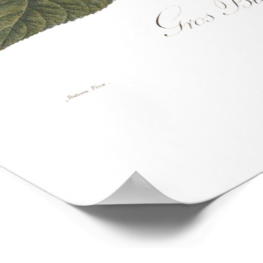 Kirsche, herzförmig poster (Ecke)