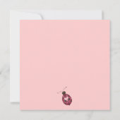 ・ Kirsche Ladybug Ankündigung (Rückseite)