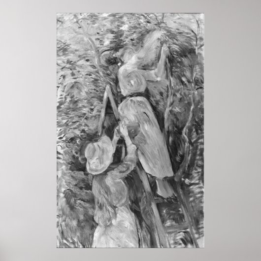 Kirschen, 1891 poster (Vorne)