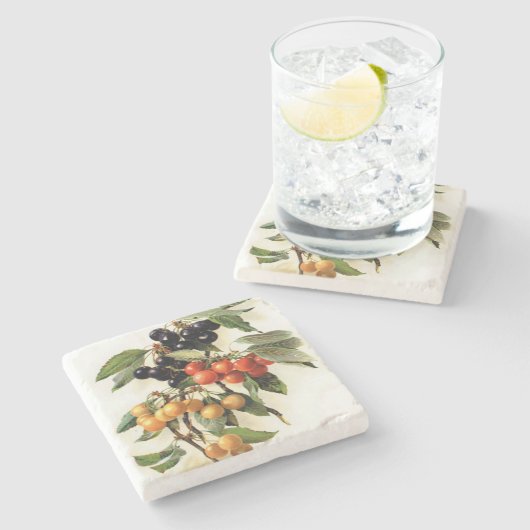 Kirschen Botanischer Platz Steinuntersetzer (Seitenansicht)