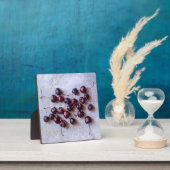 Kirschen Fotoplatte (InSitu)