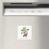 Kirschen für dich magnet (In Situ (Geschirrspüler))