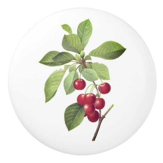 Kirschen für Sie Keramikknauf (Vorderseite)