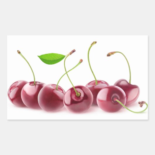 Kirschen in Folge Rechteckiger Aufkleber (Vorderseite)