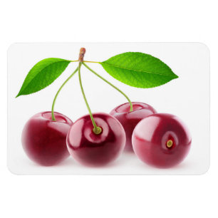 Kirschen Magnet
