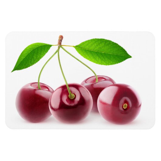 Kirschen Magnet (Horizontal)