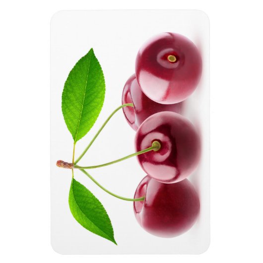 Kirschen Magnet (Vertikal)