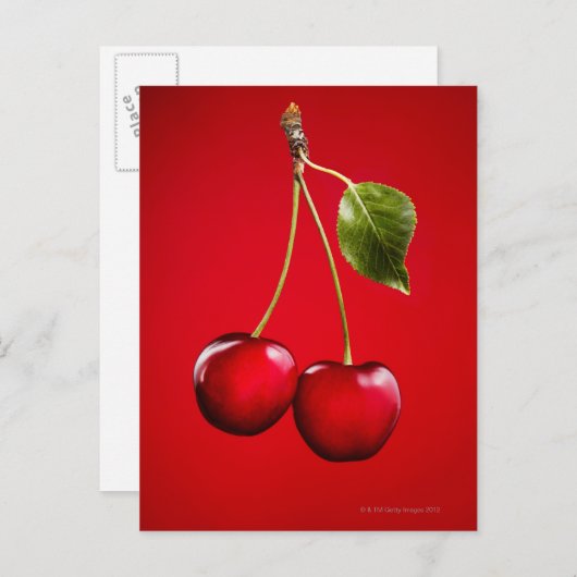 Kirschen mit Leaf im roten Hintergrund Postkarte (Vorne/Hinten)