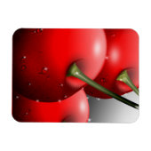 Kirschen mit Taubentropfen Magnet (Horizontal)