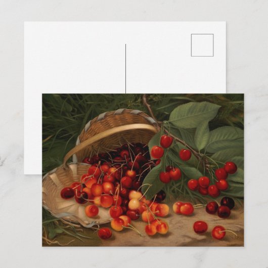 Kirschen Postkarte (Vorne/Hinten)