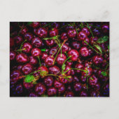 Kirschen Postkarte (Vorderseite)