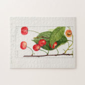 Kirschen (Prunus Avium) Fruchtfarben Puzzle (Horizontal)