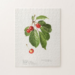 Kirschen (Prunus Avium) Fruchtfarben Puzzle