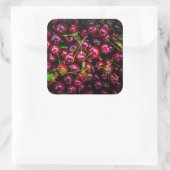 Kirschen Quadratischer Aufkleber (Tasche)