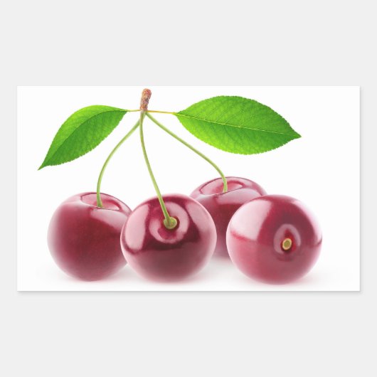 Kirschen Rechteckiger Aufkleber (Vorderseite)