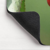 Kirschen, Wassertropfen, Regentropfen Mousepad (Ecke)