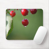 Kirschen, Wassertropfen, Regentropfen Mousepad (Mit Mouse)