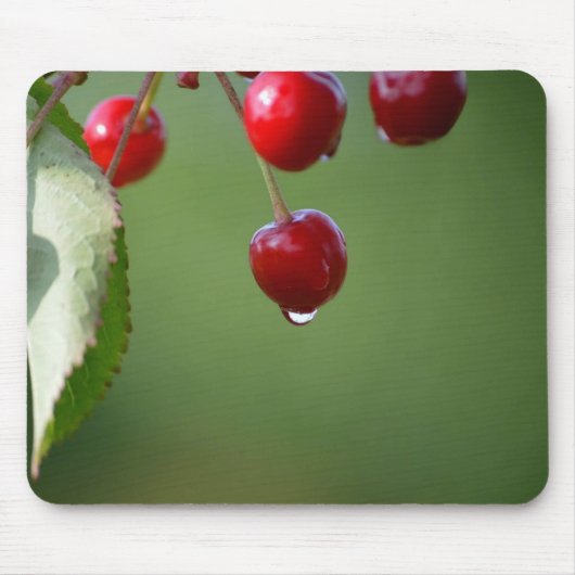 Kirschen, Wassertropfen, Regentropfen Mousepad (Vorne)