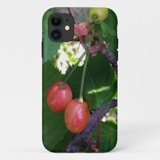 Kirschen werden rot Case-Mate iPhone hülle (Rückseite)