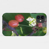 Kirschen werden rot Case-Mate iPhone hülle (Rückseite (Horizontal))