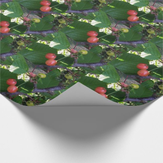 Kirschen werden rot geschenkpapier (Ecke)