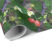 Kirschen werden rot geschenkpapier (Rolleneckpunkt)