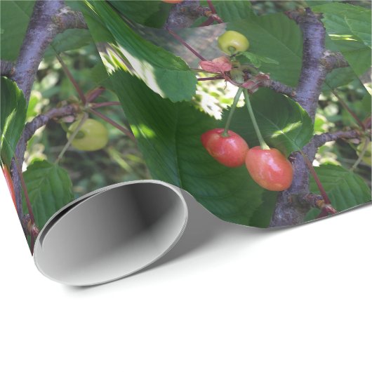 Kirschen werden rot geschenkpapier (Rolleneckpunkt)