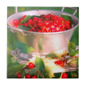 Kirschernte, Hütte Garten Rosalinde Fliese (Vorderseite)