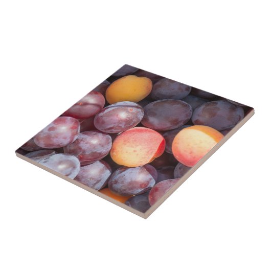 Kirschpflaumenuntergrund Fliese (Seite)