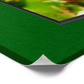 KirschTomaten aus der Gestell-Natur Poster (Ecke)