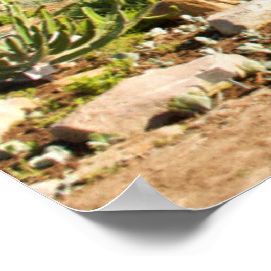 Kirstenbosch Botanic Gardens, Kapstadt Poster (Ecke)