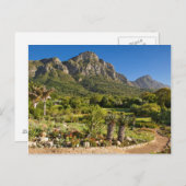 Kirstenbosch Botanic Gardens, Kapstadt Postkarte (Vorne/Hinten)