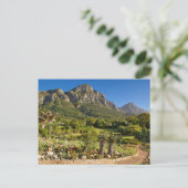 Kirstenbosch Botanic Gardens, Kapstadt Postkarte (Stehend Vorderseite)