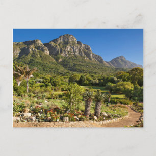 Kirstenbosch Botanic Gardens, Kapstadt Postkarte