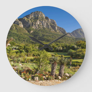 Kirstenbosch Botanischer Garten, Kapstadt Große Wanduhr