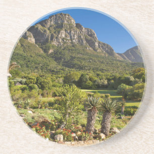 Kirstenbosch Botanischer Garten, Kapstadt Sandstein Untersetzer